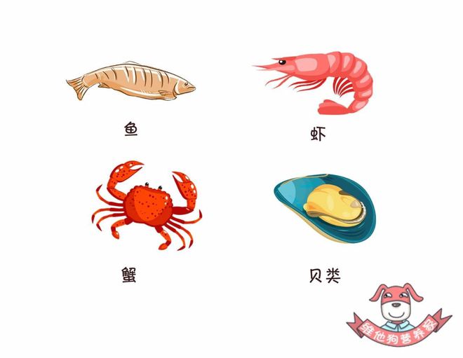 bitpie钱包安全吗(比特派bitpie钱包下载)