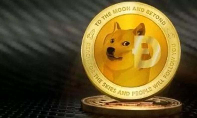 狗狗币钱包下载官网(狗狗币钱包app下载)