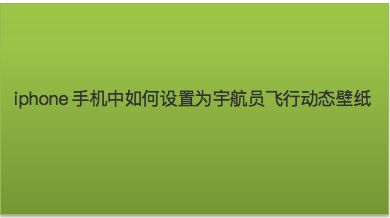 苹果手机飞机中文版(苹果手机飞机中文版怎么下载)