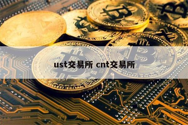 usdt交易平台哪个好(正规usdt交易平台官网)