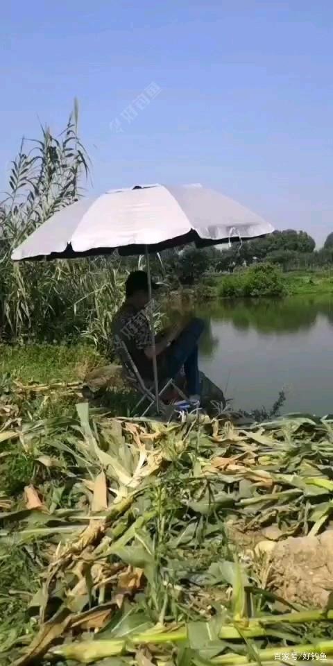 喜欢钓鱼的人都是什么性格(喜欢钓鱼的人是一个什么样的人)