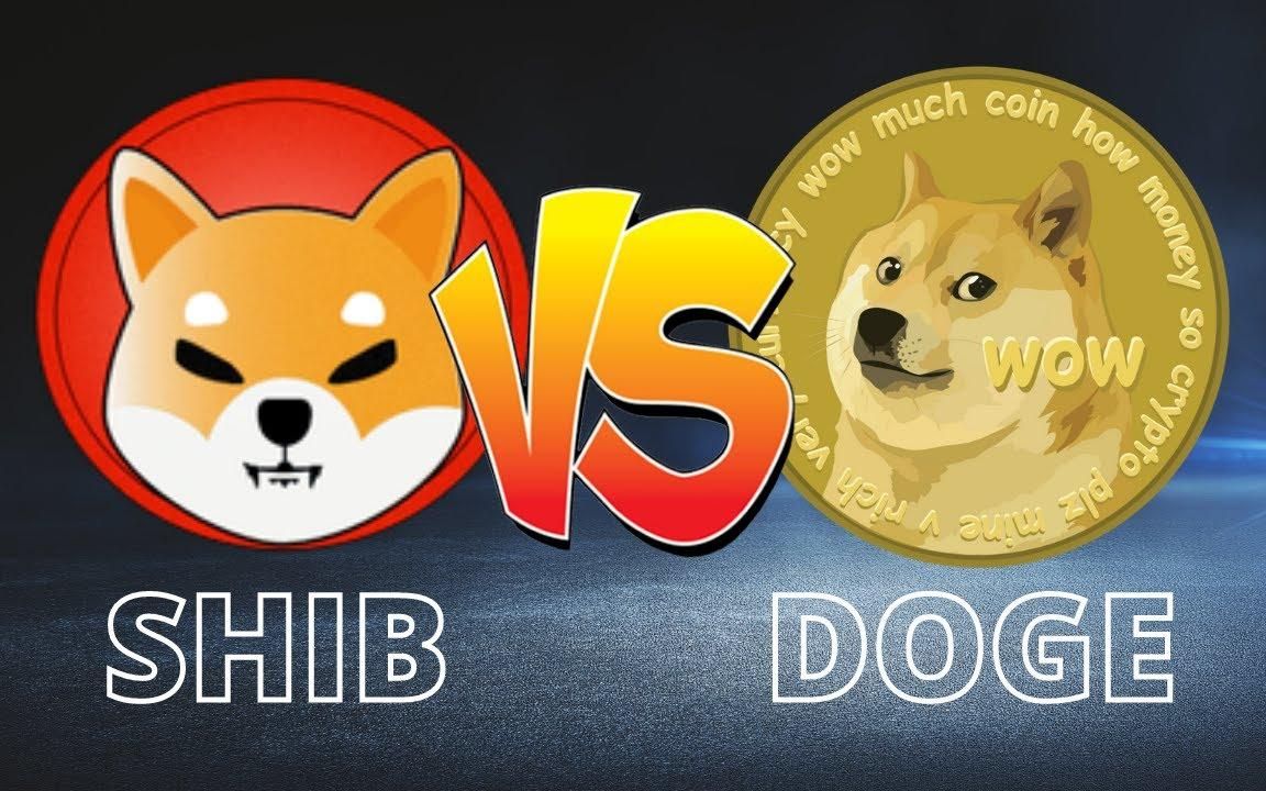 狗狗币为什么猛涨(狗狗币为什么猛涨那么快)