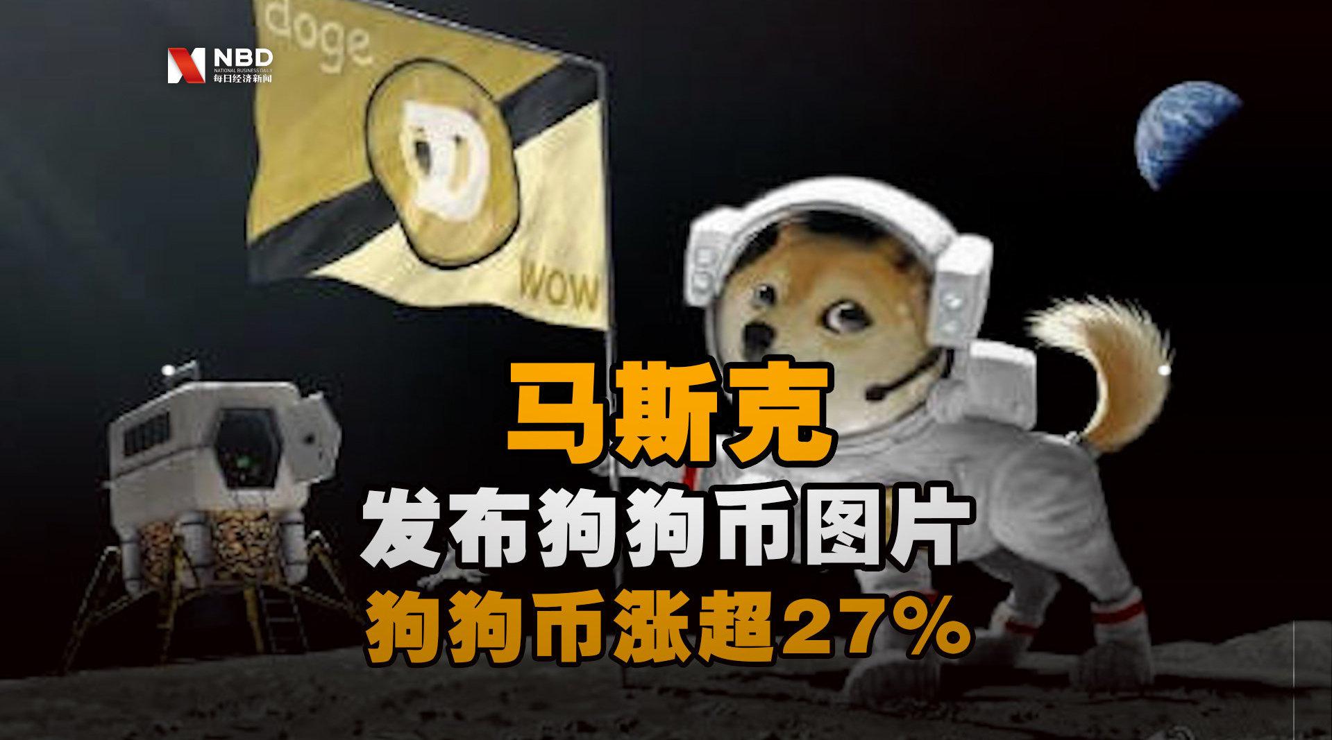 狗狗币为什么疯涨(狗狗币因为什么暴涨)