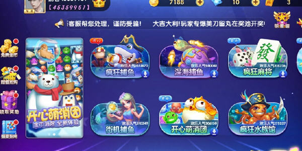 愉游网络的鱼丸电玩城(上海愉游鱼丸捕鱼大作战)