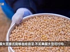 k豆钱包是合法的吗(k豆钱包是哪个国家的)