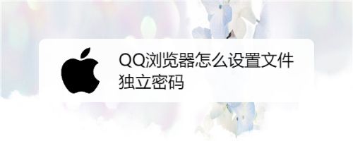 qq浏览器里的加密文件(浏览器里的加密文件怎么打开)