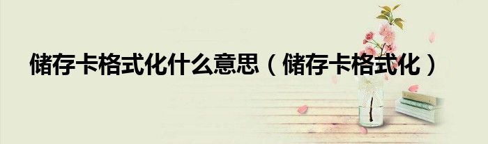 价值不能储存是什么意思(价值不能储存是什么意思呀)