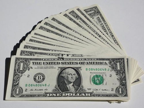 usd是什么意思(币种usd是什么意思)