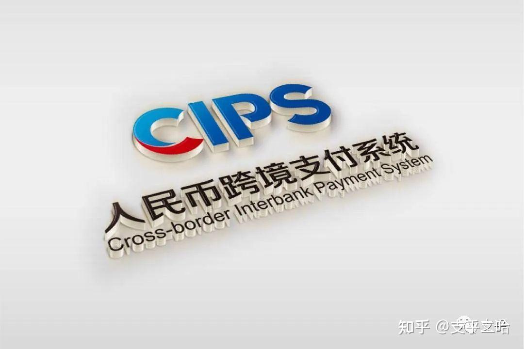 境内外币支付系统支持几个币种(境内外币支付系统支持哪八个币种的支付业务结算)