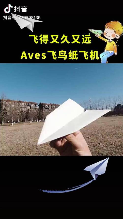 纸飞机简体中文语言包(纸飞机简体中文语言包下载)