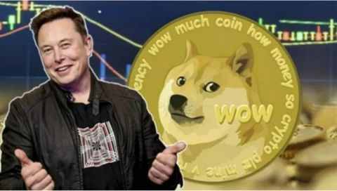 柴犬币2023年会涨到多少(柴犬币2023年会涨到多少倍)