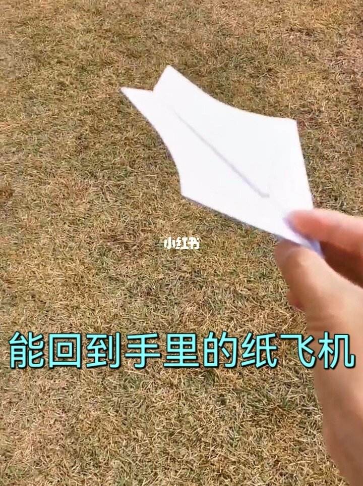 纸飞机怎么登陆教程(纸飞机怎么登陆教程安卓)