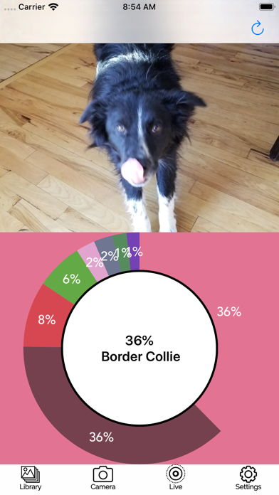 aidog币涨了多少倍(dogecoin狗狗币总量)