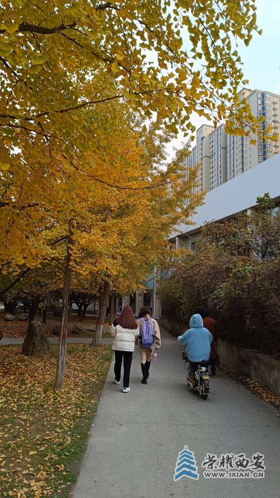 tsr虚拟币_虚拟币trc20是什么