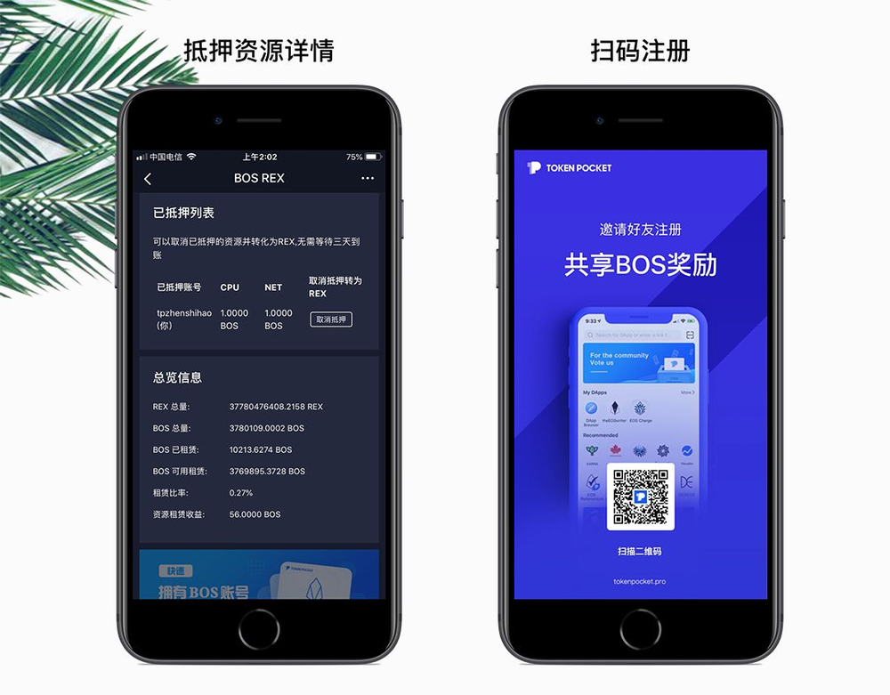 TP钱包cake怎么取消,tp钱包 pancakeswap