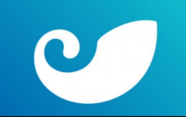 包含tokenpocket密码忘记咋样办的词条