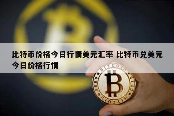 关于比特币最高的时候是多少钱一枚人民币的信息