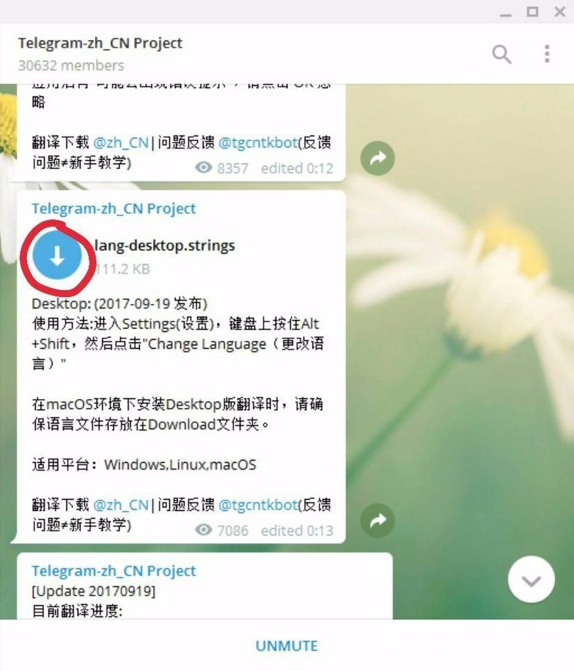 telegreat汉化包,telegreat汉化官方版下载