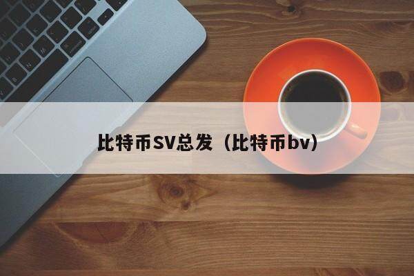 bitcoin交易所app下载sv,bitcoin交易所app下载二维码