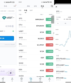pi币钱包私钥是怎样获取-pi币私钥丢了可以重置钱包吗