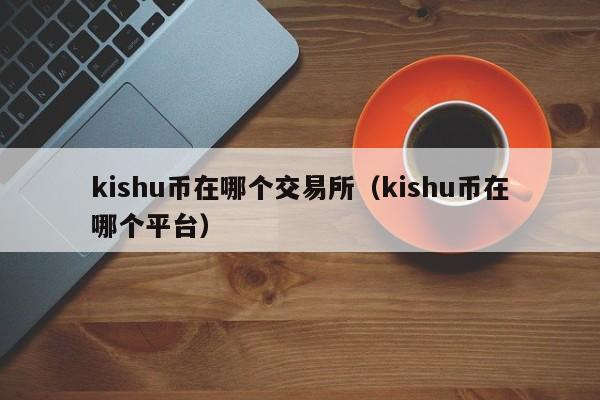 kishu币的价格-kishu币价格预测
