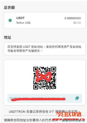 支持usdt的钱包-支持usdt的vps