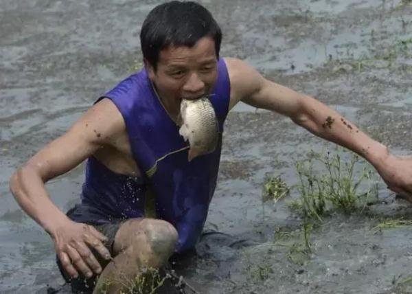 有没有打鱼可以挣钱的-有没有打鱼可以挣钱的软件