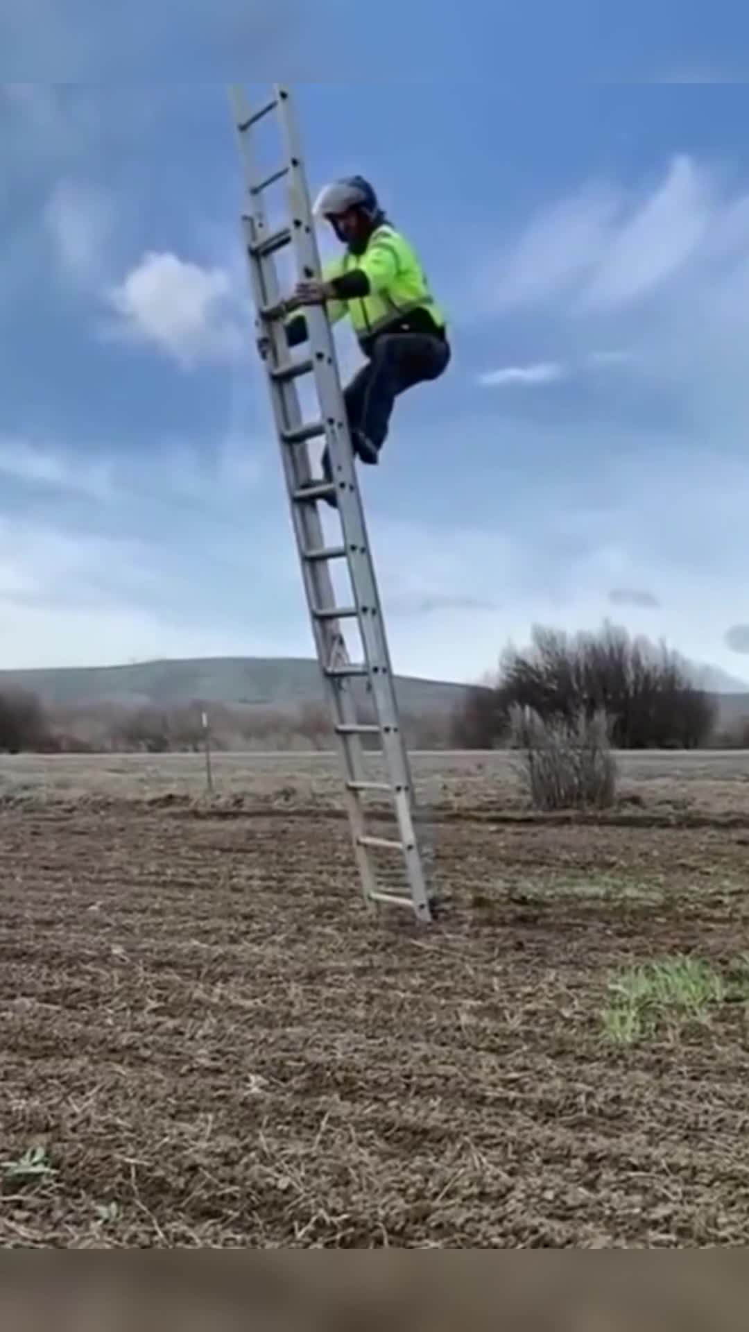 七天上望的梯子图片的简单介绍
