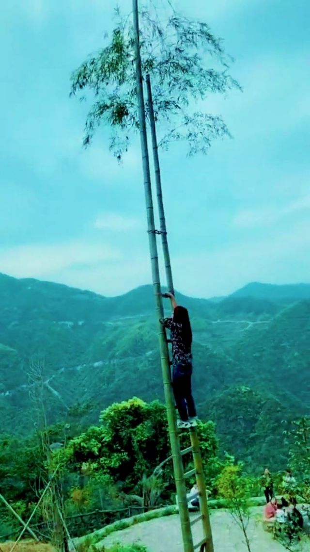 一个人爬梯子上天图片-一个人在爬梯子的简笔画