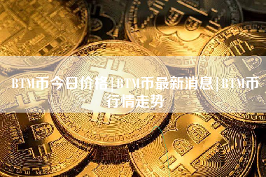 虚拟币BTM-虚拟币BTC是什么意思