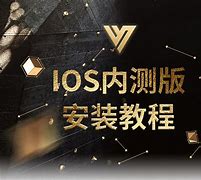 关于vtoken交易所最新发展动态的信息