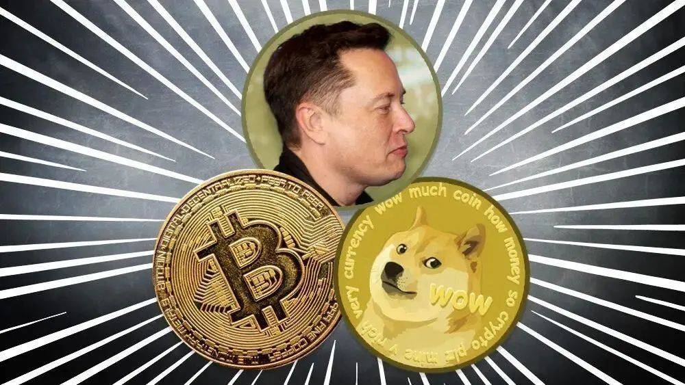 pepe币马斯克-pepe币最新消息2024