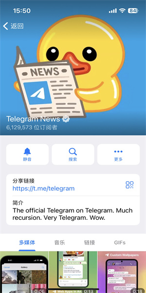 纸飞机英语app下载-纸飞机软件英文名叫什么