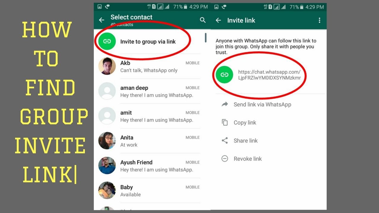 whatsapp官网免费下载-whatsapp官方网下载2021