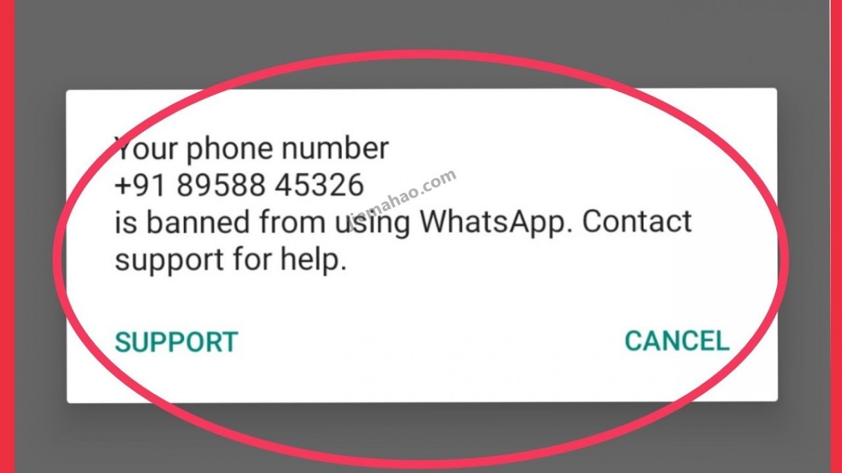 whatsapp哪个国家用-whatsapp哪个国家用的最多