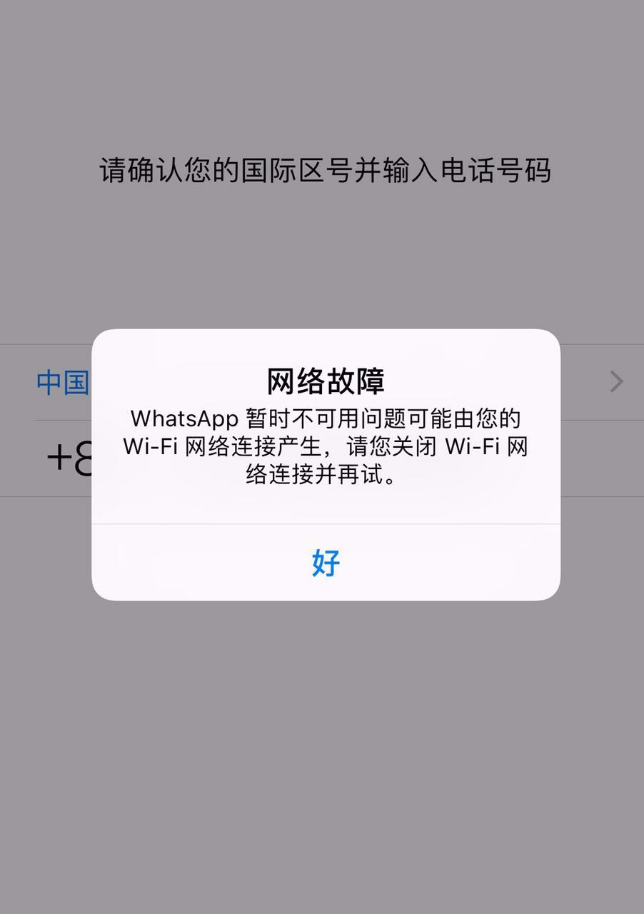 whatsapp下载不了语音-whatsapp为什么下载不了