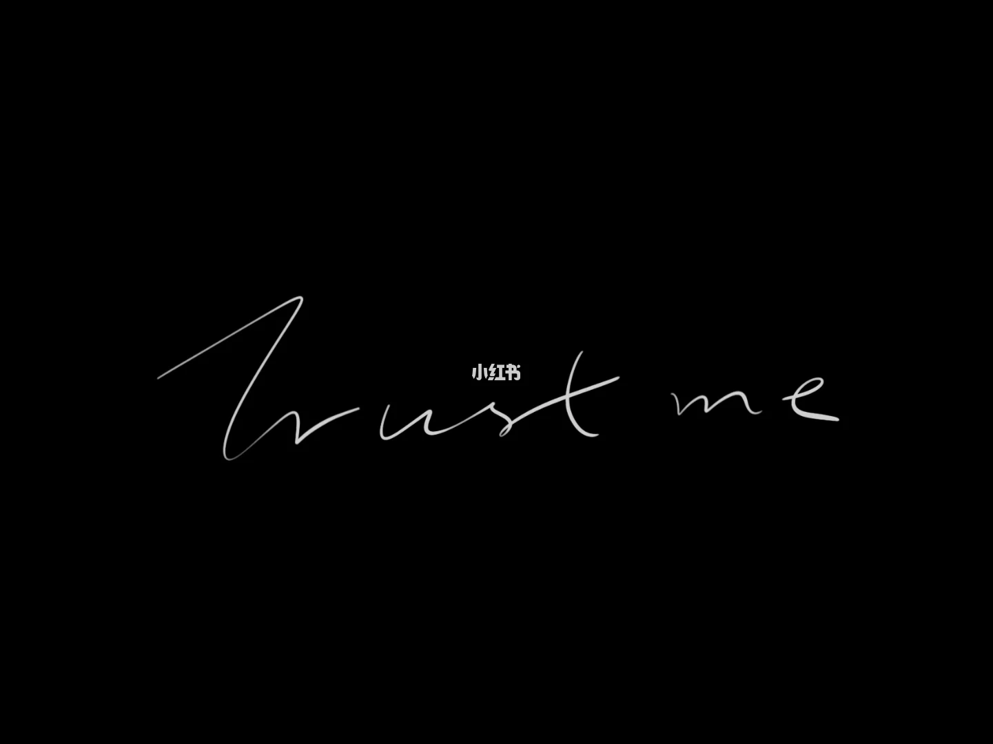 trustme免费下载-trustwallet 下载