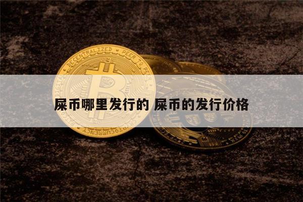 屎币涨了多少倍了-屎币能涨到1块钱吗