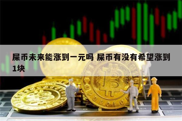 屎币涨了多少倍了-屎币能涨到1块钱吗