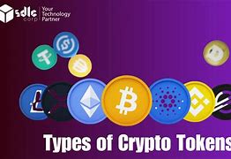 tokeneco下载-tokenim安卓版官网最新