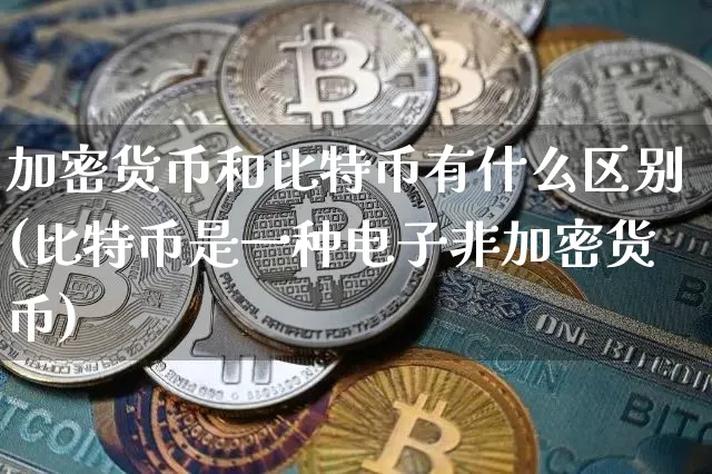 比特币属于电子支付吗-比特币属于电子货币吗?