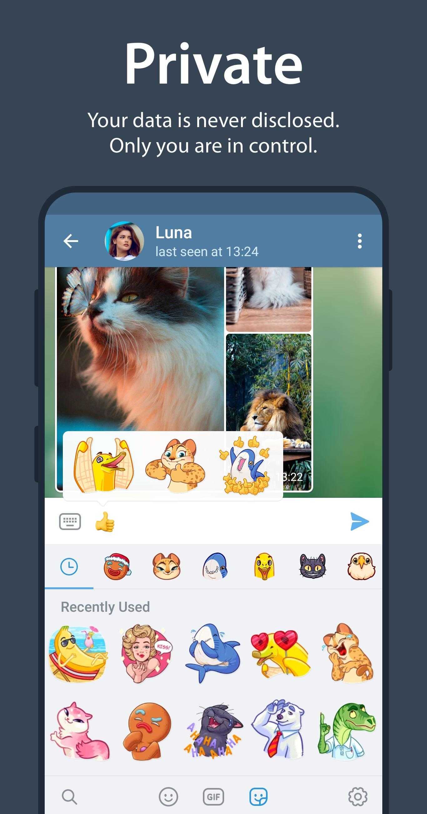 包含telegeram官方下载app的词条