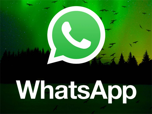关于whatsapp下载不了图片,能聊天的信息