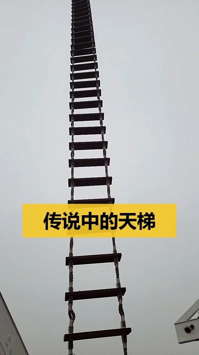 梯子贴吧-梯子veee