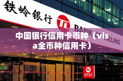 visa卡支持什么币种-visa卡支持什么币种的
