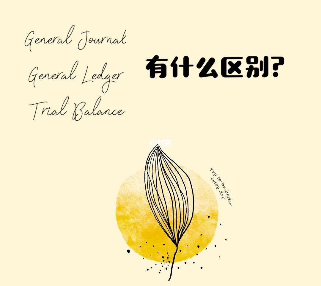 ledger是什么意思-general ledger是什么意思