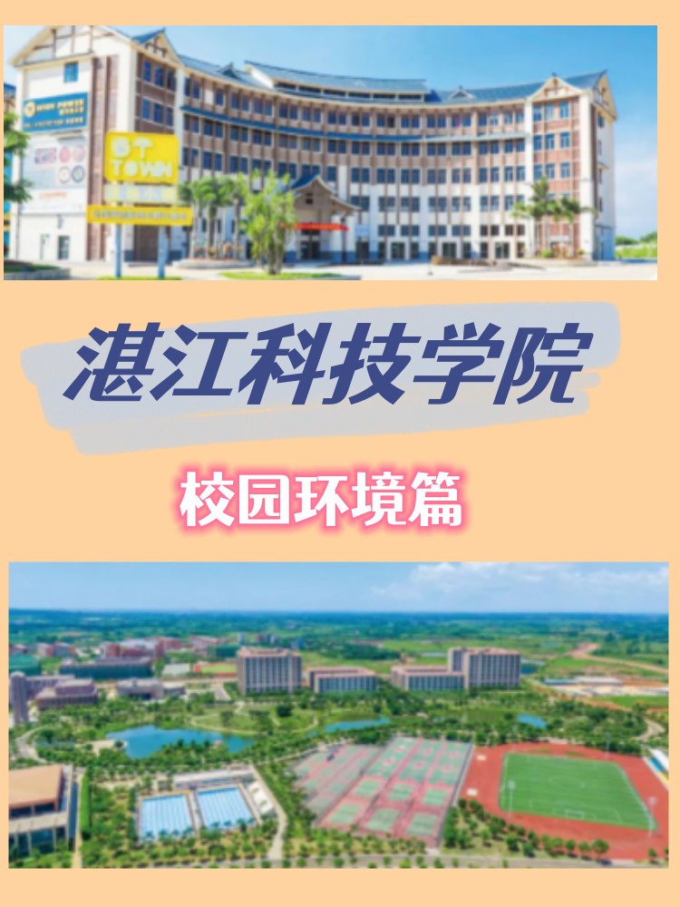 包含tt币2021年怎么样的词条