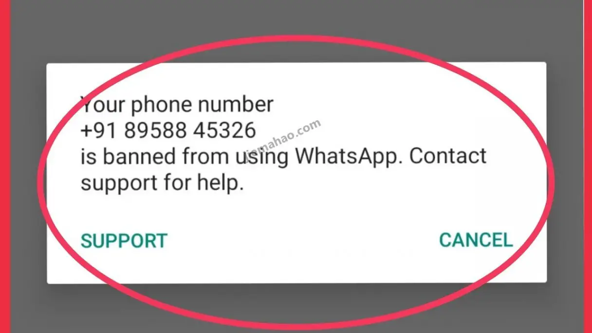 whatsapp没办法注册-whatsapp账号注册不了