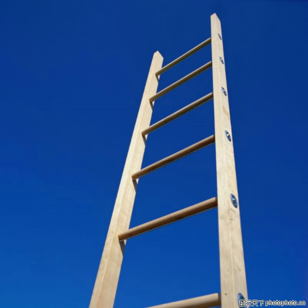关于1把梯子的信息