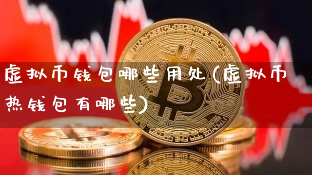 常用虚拟币钱包-常用虚拟币钱包有哪些